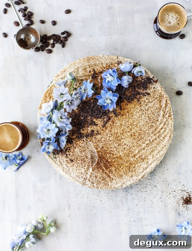 no bake greek yogurt cheesecake I howsweeteats.com