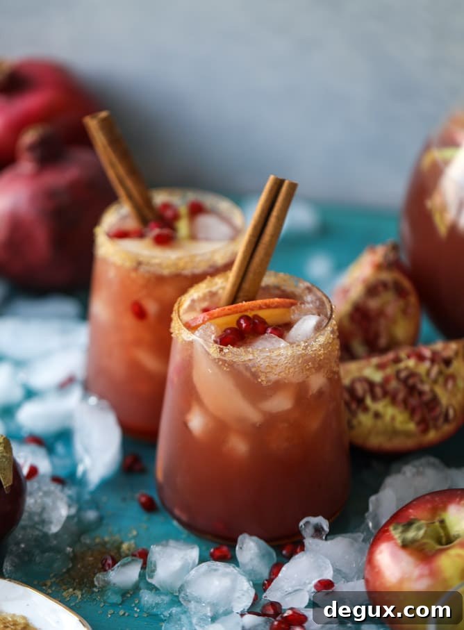 Sparkling Pomegranate Cider Punch Recipe for Fall Gatherings 13 sparkling pomegranate cider punch I howsweeteats.com