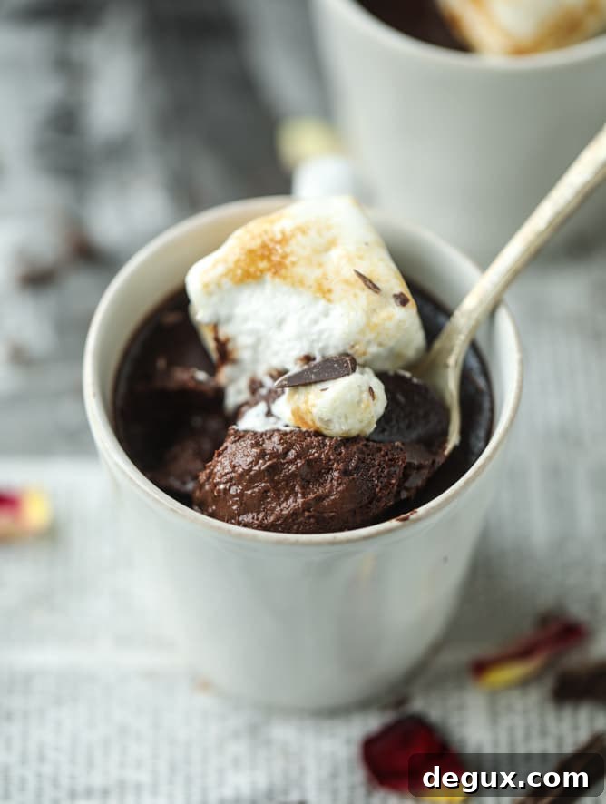 Hot Chocolate Pots de Crème with Toasted Marshmallow Topping 2 chocolate pots de creme with toasted marshmallow I howsweeteats.com