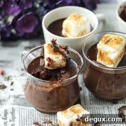 Hot Chocolate Pots de Crème with Toasted Marshmallow Topping 8 img 51306 7