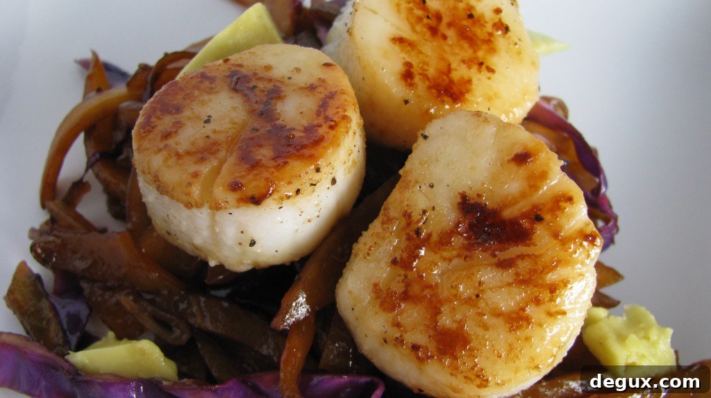 Plated scallops and slaw