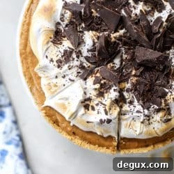 No-Bake Black-Bottom Pumpkin Pie with Marshmallow Topping for Friendsgiving 2017 9 img 51574 9