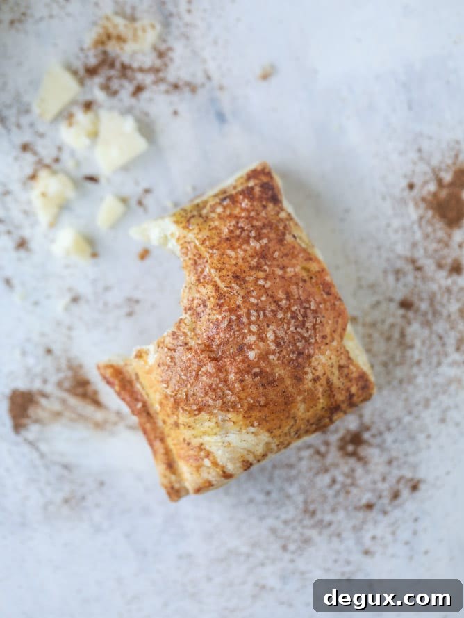 Mini Apple and Cheddar Hand Pies — Savory-Sweet Bite-Sized Treats 2 apple cheddar pies I howsweeteats.com
