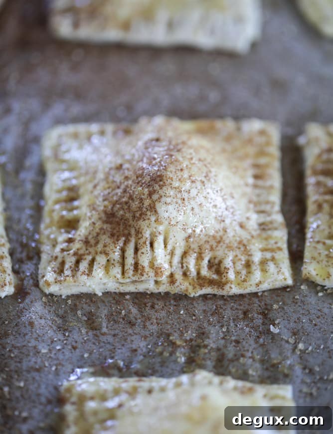 Mini Apple and Cheddar Hand Pies — Savory-Sweet Bite-Sized Treats 4 mini apple cheddar pies I howsweeteats.com