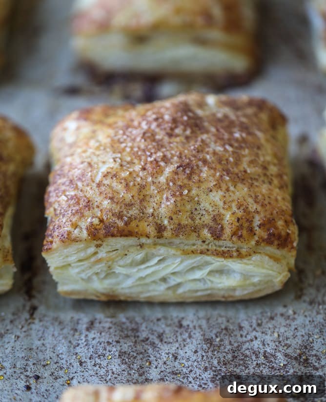 Mini Apple and Cheddar Hand Pies — Savory-Sweet Bite-Sized Treats 5 mini apple cheddar pies I howsweeteats.com