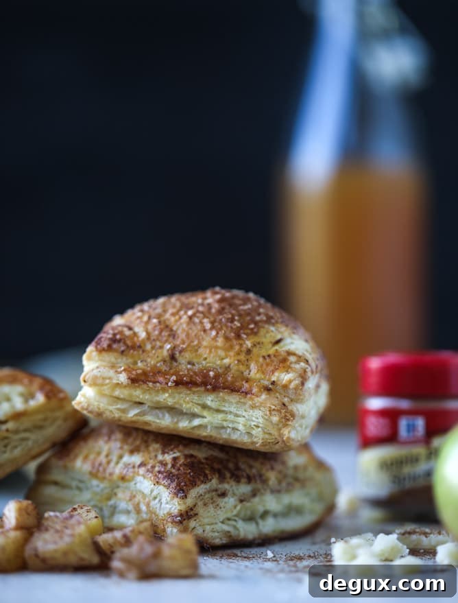 Mini Apple and Cheddar Hand Pies — Savory-Sweet Bite-Sized Treats 7 mini apple cheddar pies I howsweeteats.com