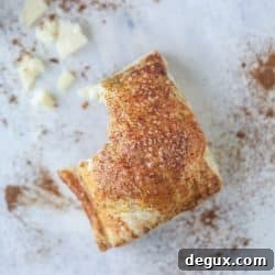 Mini Apple and Cheddar Hand Pies — Savory-Sweet Bite-Sized Treats 8 img 51694 7