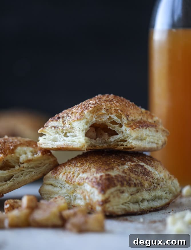Mini Apple and Cheddar Hand Pies — Savory-Sweet Bite-Sized Treats 9 mini apple cheddar pies I howsweeteats.com