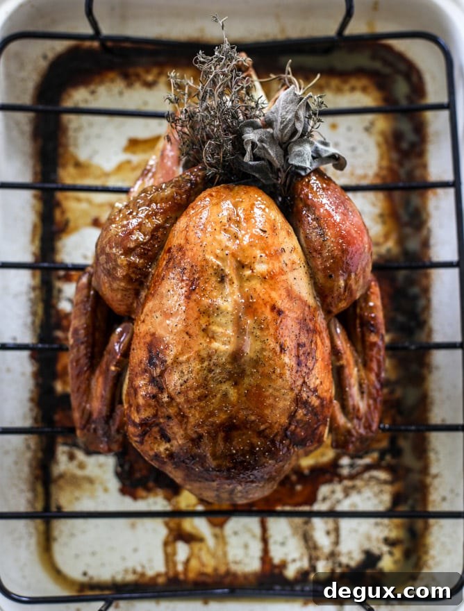 Friendsgiving 2017: Butter‑Basted, White Wine Roasted Turkey with Perfect Gravy 5 butter and wine roasted turkey with gravy I howsweeteats.com