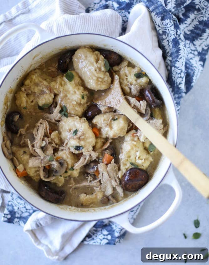 turkey and mushroom dumplings I howsweeteats.com #thanksgiving #leftovers
