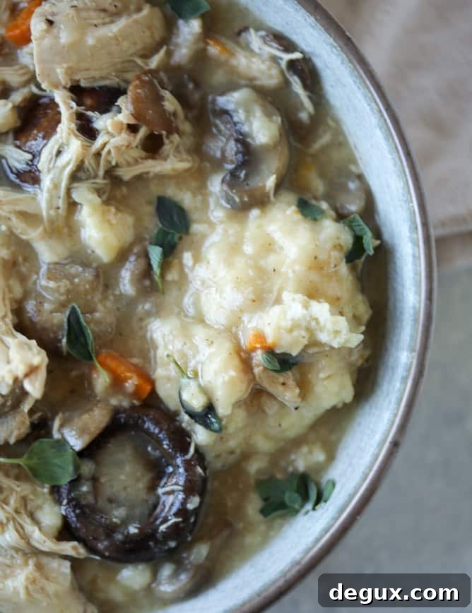 turkey and mushroom dumplings I howsweeteats.com #thanksgiving #leftovers