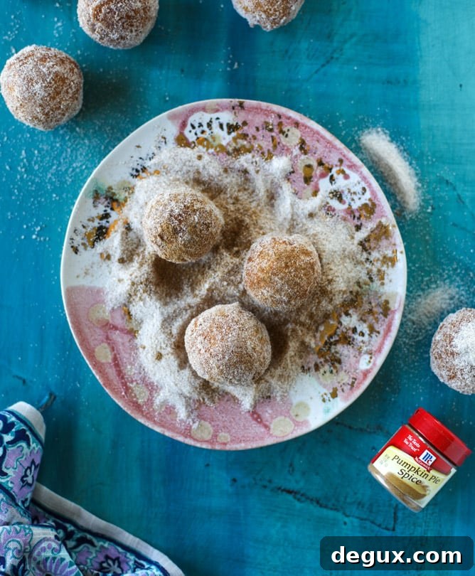 Pumpkin Cider Doughnut Holes Drizzled with Hot Fudge 4 pumpkin doughnut holes with hot fudge I howsweeteats.com