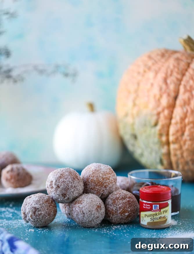 Pumpkin Cider Doughnut Holes Drizzled with Hot Fudge 5 pumpkin doughnut holes with hot fudge I howsweeteats.com