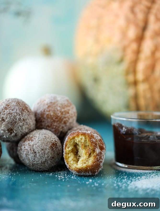 Pumpkin Cider Doughnut Holes Drizzled with Hot Fudge 6 pumpkin doughnut holes with hot fudge I howsweeteats.com