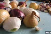 Classic Beef Bourguignon Recipe: Tender Red Wine Braised Beef