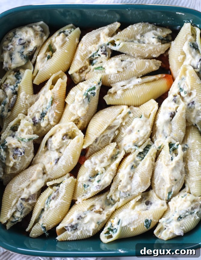 Caramelized Veg & Fontina Stuffed Shells with Roasted Marinara 4 vegetable and fontina stuffed shells with fire roasted marinara
