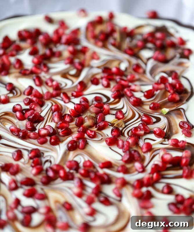Pomegranate Pistachio Swirled Chocolate Bark Recipe 3 pomegranate pistachio swirled chocolate bark