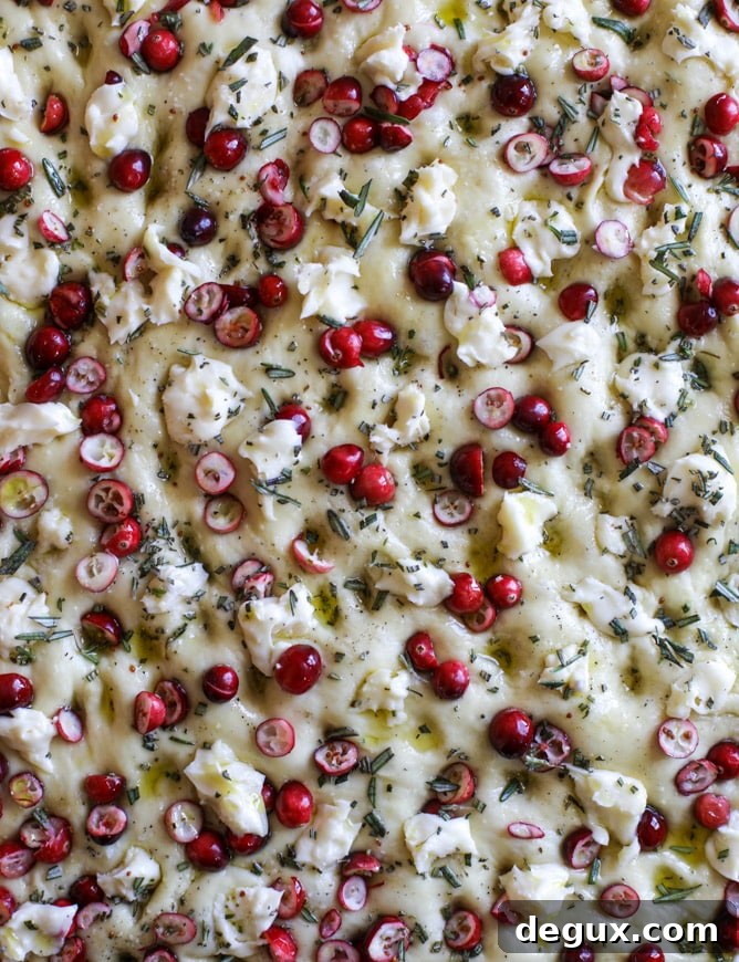 cranberry brie focaccia bread