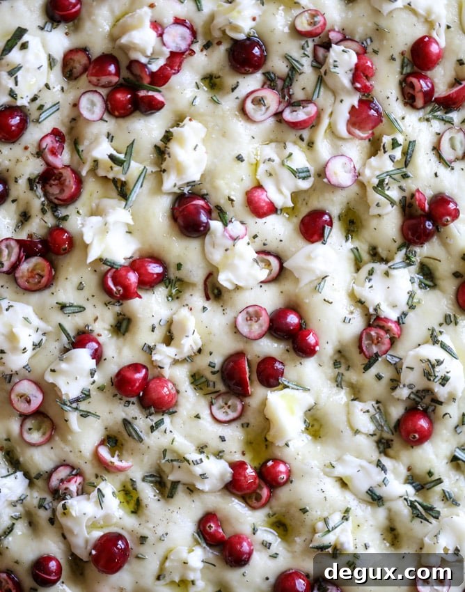 cranberry brie focaccia bread