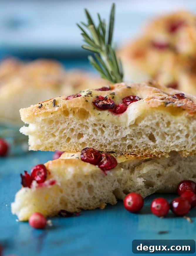 cranberry brie focaccia bread