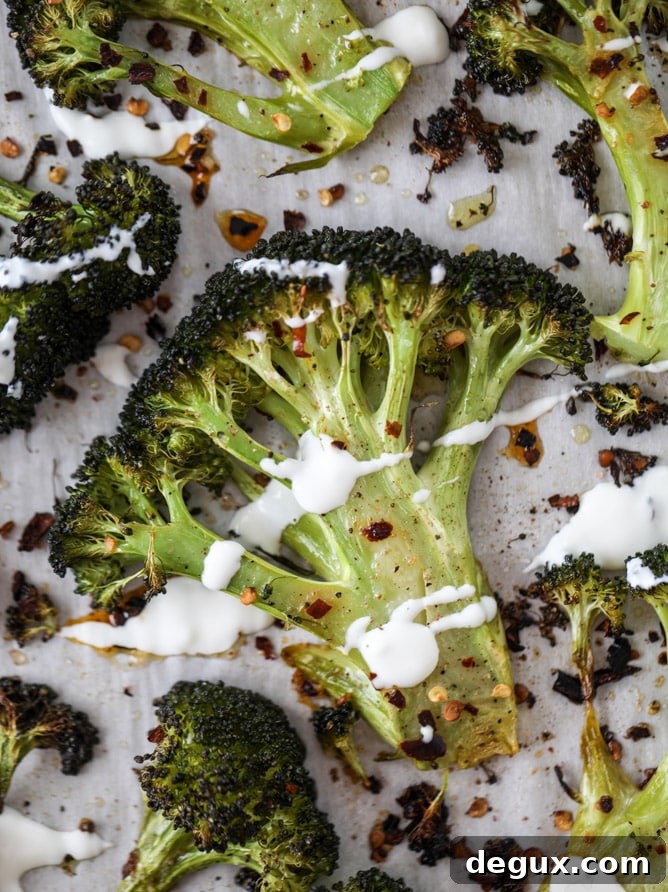 best roasted broccoli with goat cheese drizzle I howsweeteats.com #broccoli #roasted #goatcheese #spicy #lemon