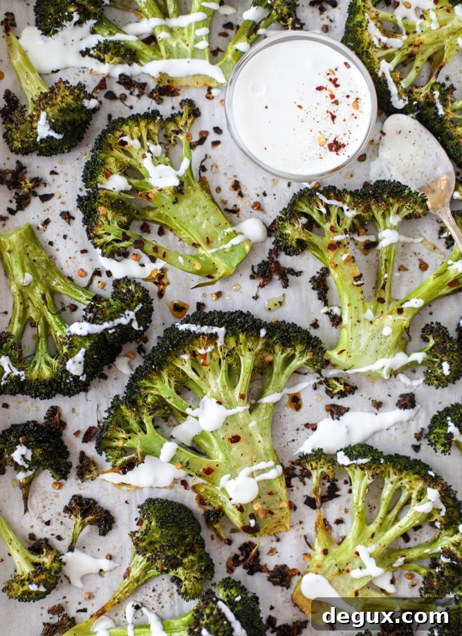 best roasted broccoli with goat cheese drizzle I howsweeteats.com #broccoli #roasted #goatcheese #spicy #lemon