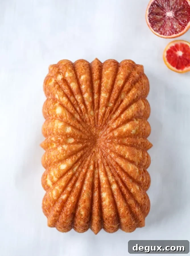 blood orange yogurt cake I howsweeteats.com #bloodorange #greekyogurt #yogurt #loafcake #cake #citrus