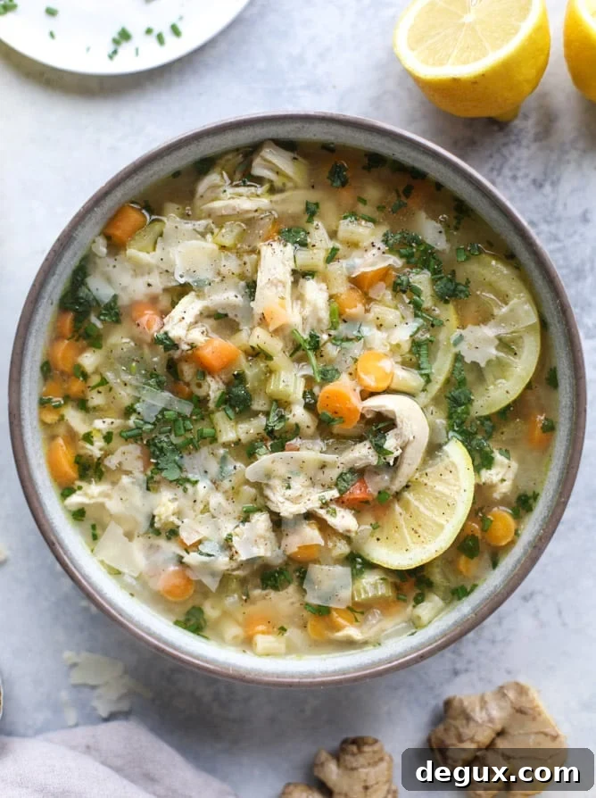 Lemon Chicken Soup Recipe with Fresh Herbs and Rice 2 easy lemon chicken soup