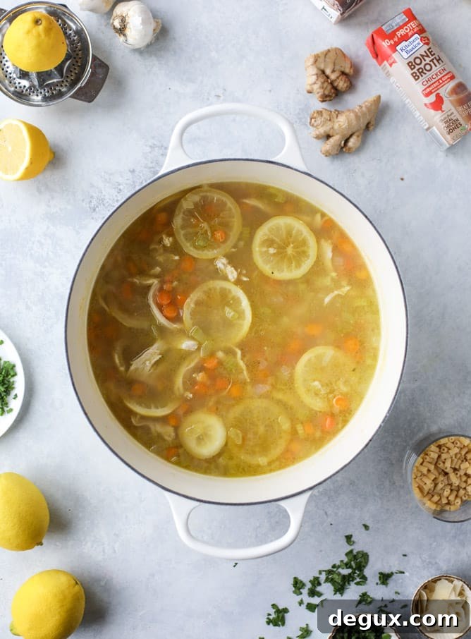 Lemon Chicken Soup Recipe with Fresh Herbs and Rice 5 easy lemon chicken soup