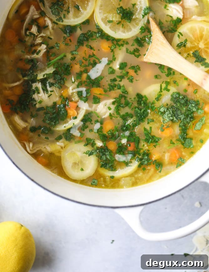 Lemon Chicken Soup Recipe with Fresh Herbs and Rice 8 easy lemon chicken soup