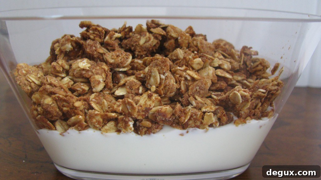 Bowl of peanut butter granola