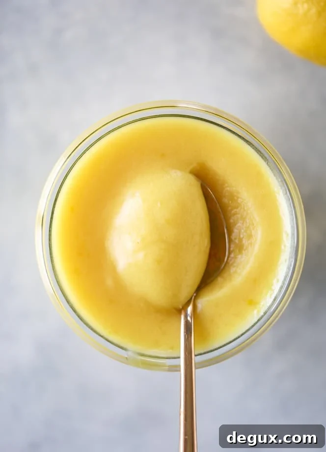 Lemon Curd Chia Seed Parfaits for Bright, Tangy Breakfasts 3 lemon curd chia pudding parfait I howsweeteats.com #lemon #lemoncurd #chiapudding #snack #healthy