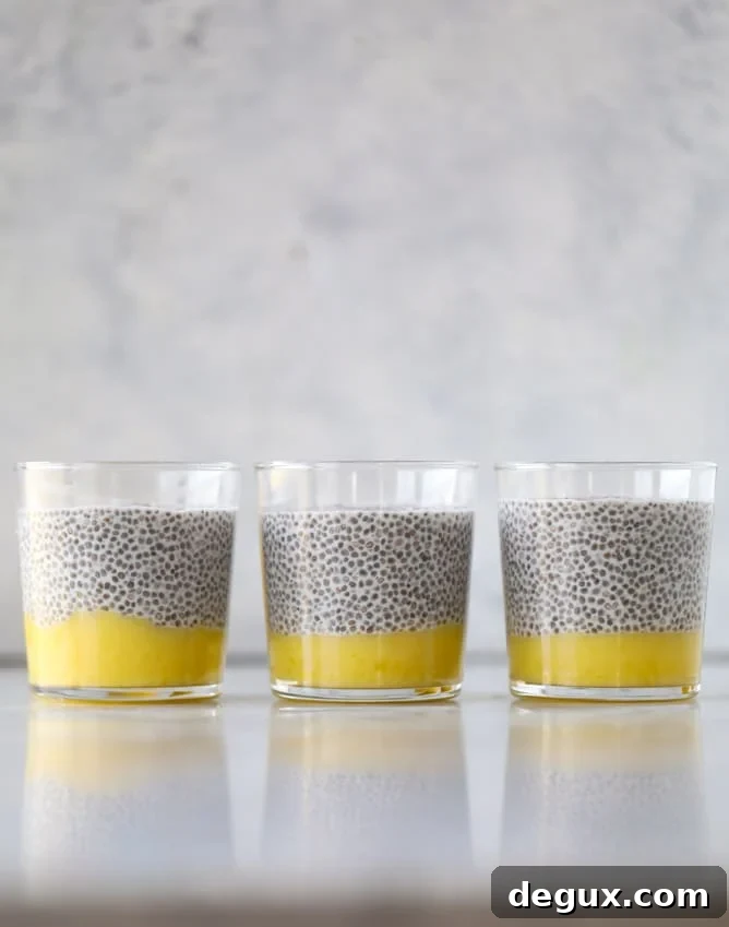 Lemon Curd Chia Seed Parfaits for Bright, Tangy Breakfasts 4 lemon curd chia pudding parfait I howsweeteats.com #lemon #lemoncurd #chiapudding #snack #healthy