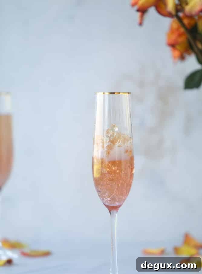 Rosé Champagne Gummy Bears: Sparkling Candy Recipe & Guide 9 rosé champagne gummy bears I howsweeteats.com #gummybears #champagne #rosé #candy #homemade