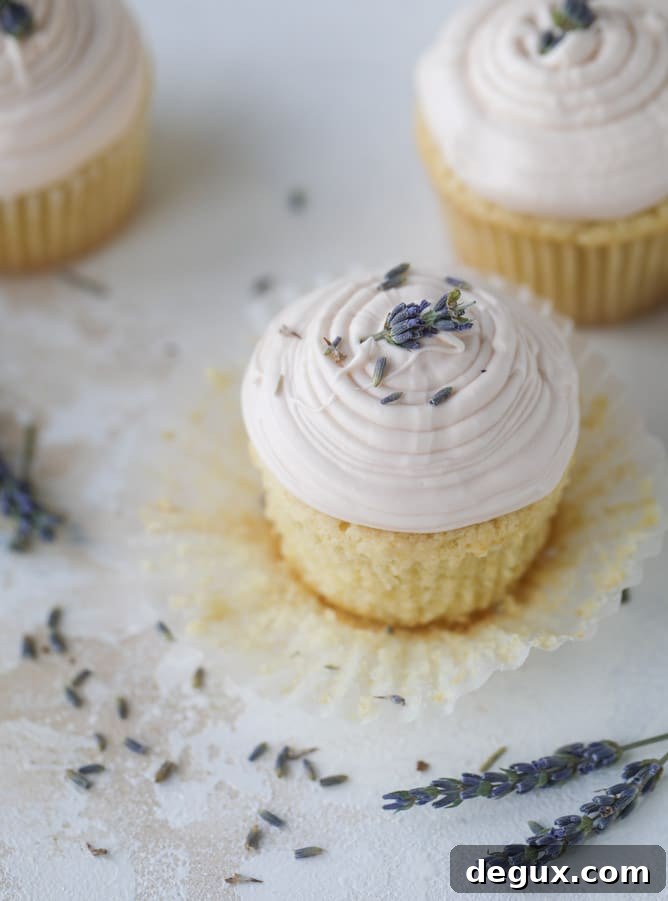 lavender cupcakes with cream cheese frosting I howsweeteats.com #lavender #cupcakes #creamcheese #frosting #cake
