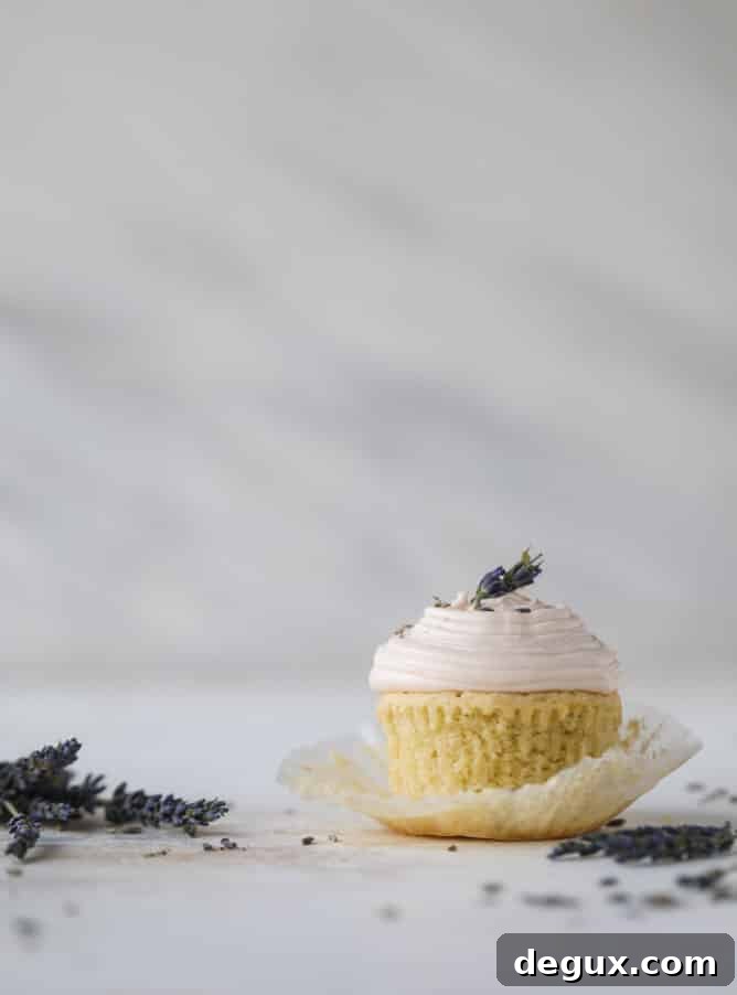 lavender cupcakes with cream cheese frosting I howsweeteats.com #lavender #cupcakes #creamcheese #frosting #cake