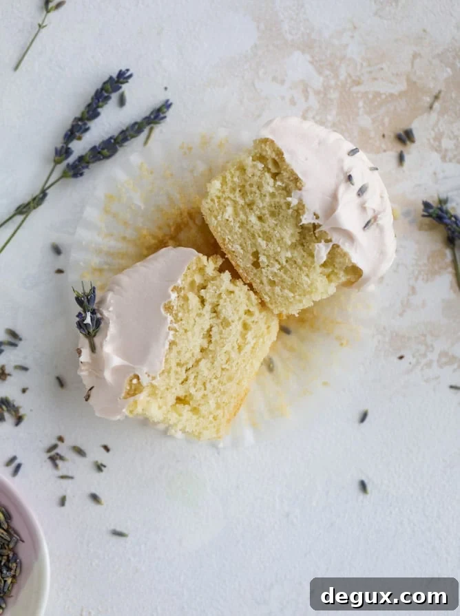 lavender cupcakes with cream cheese frosting I howsweeteats.com #lavender #cupcakes #creamcheese #frosting #cake