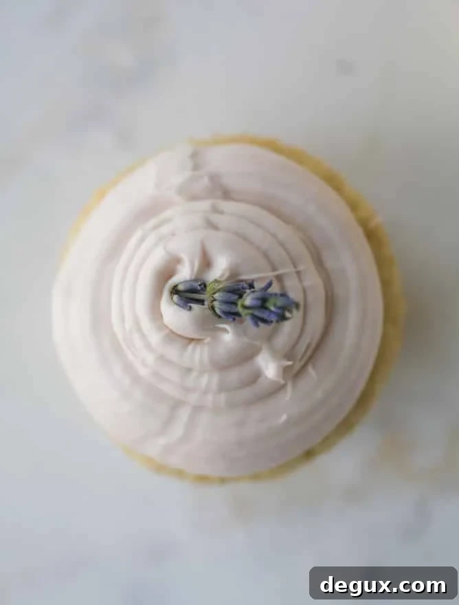lavender cupcakes with cream cheese frosting I howsweeteats.com #lavender #cupcakes #creamcheese #frosting #cake