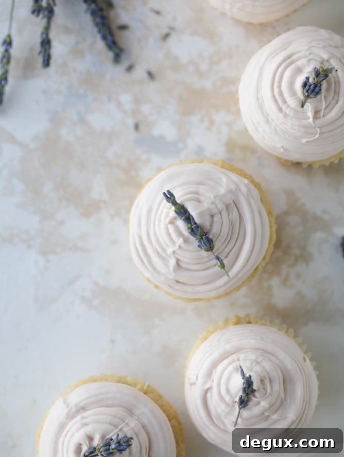 lavender cupcakes with cream cheese frosting I howsweeteats.com #lavender #cupcakes #creamcheese #frosting #cake