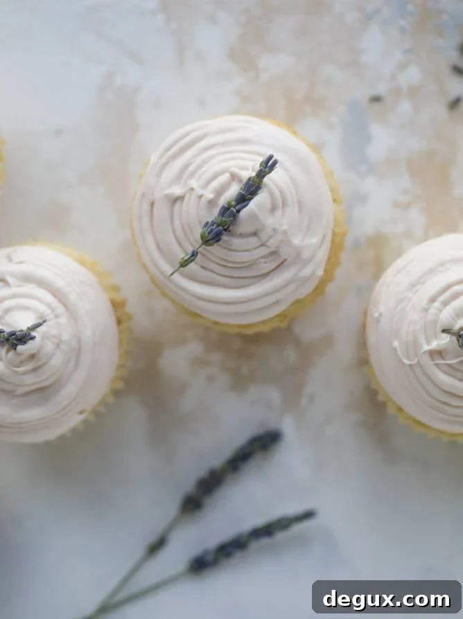 lavender cupcakes with cream cheese frosting I howsweeteats.com #lavender #cupcakes #creamcheese #frosting #cake