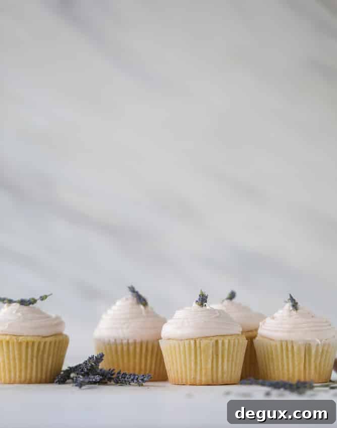lavender cupcakes with cream cheese frosting I howsweeteats.com #lavender #cupcakes #creamcheese #frosting #cake