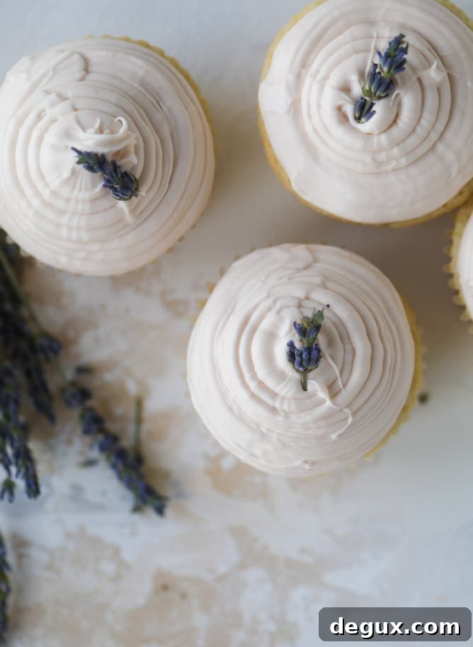 lavender cupcakes with cream cheese frosting I howsweeteats.com #lavender #cupcakes #creamcheese #frosting #cake