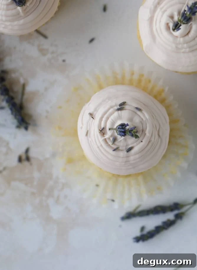 lavender cupcakes with cream cheese frosting I howsweeteats.com #lavender #cupcakes #creamcheese #frosting #cake
