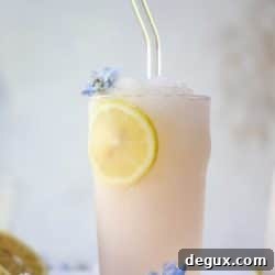 Lemonade Frosé Recipe: Sparkling Frozen Rosé Cocktail 8 img 54842 7