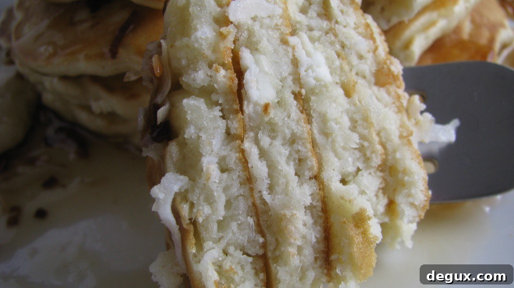IMG_3836 Stack of coconut pancakes with toasted coconut