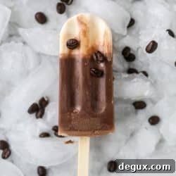 Sweet Cream Cold Brew Fudgesicle Recipe for Coffee Lovers 8 img 55169 8