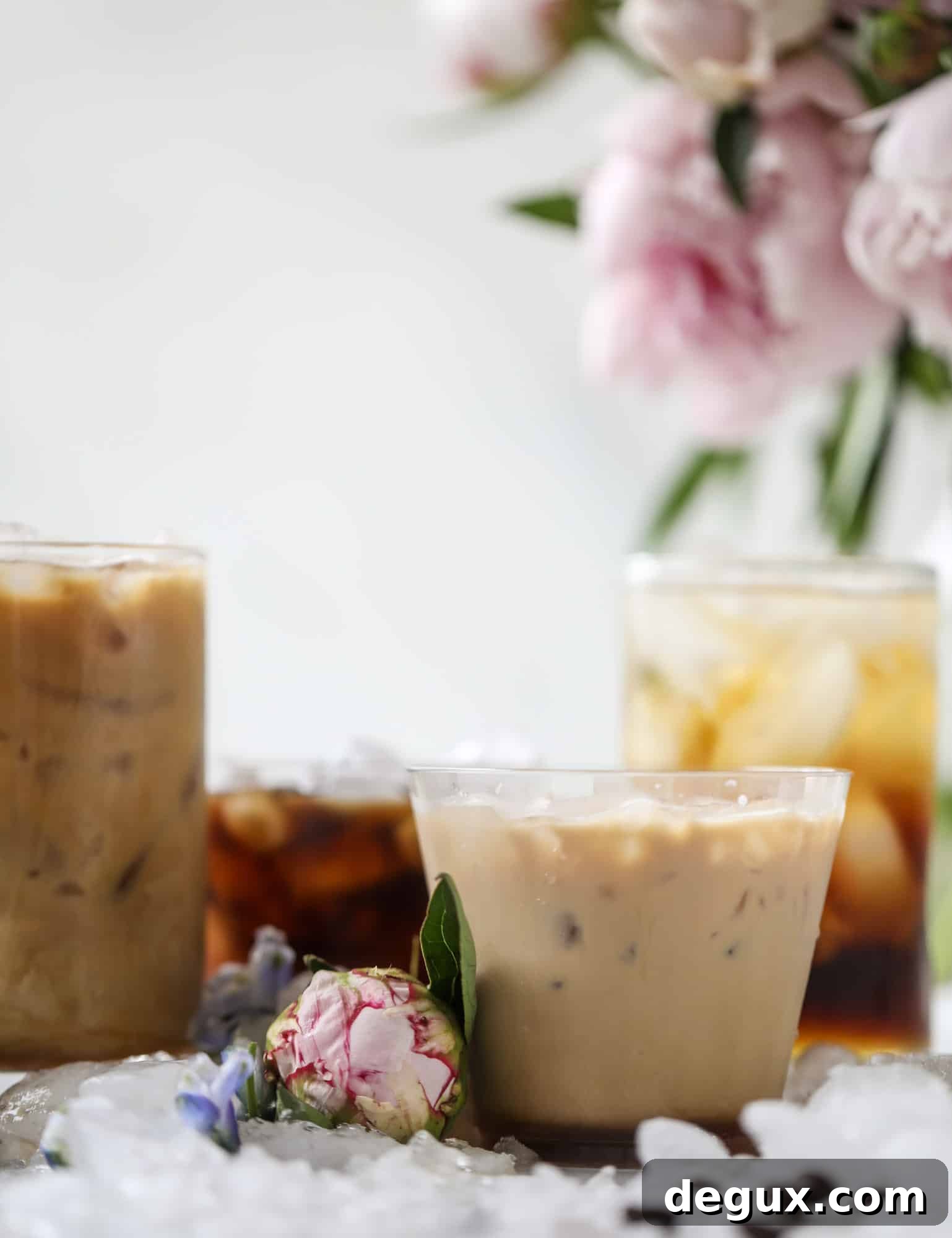 Sparkling Coconut Iced Coffee Recipe: Refreshing Summer Drink 7 Cold brew coffee, coconut syrup and soda ready to combine.