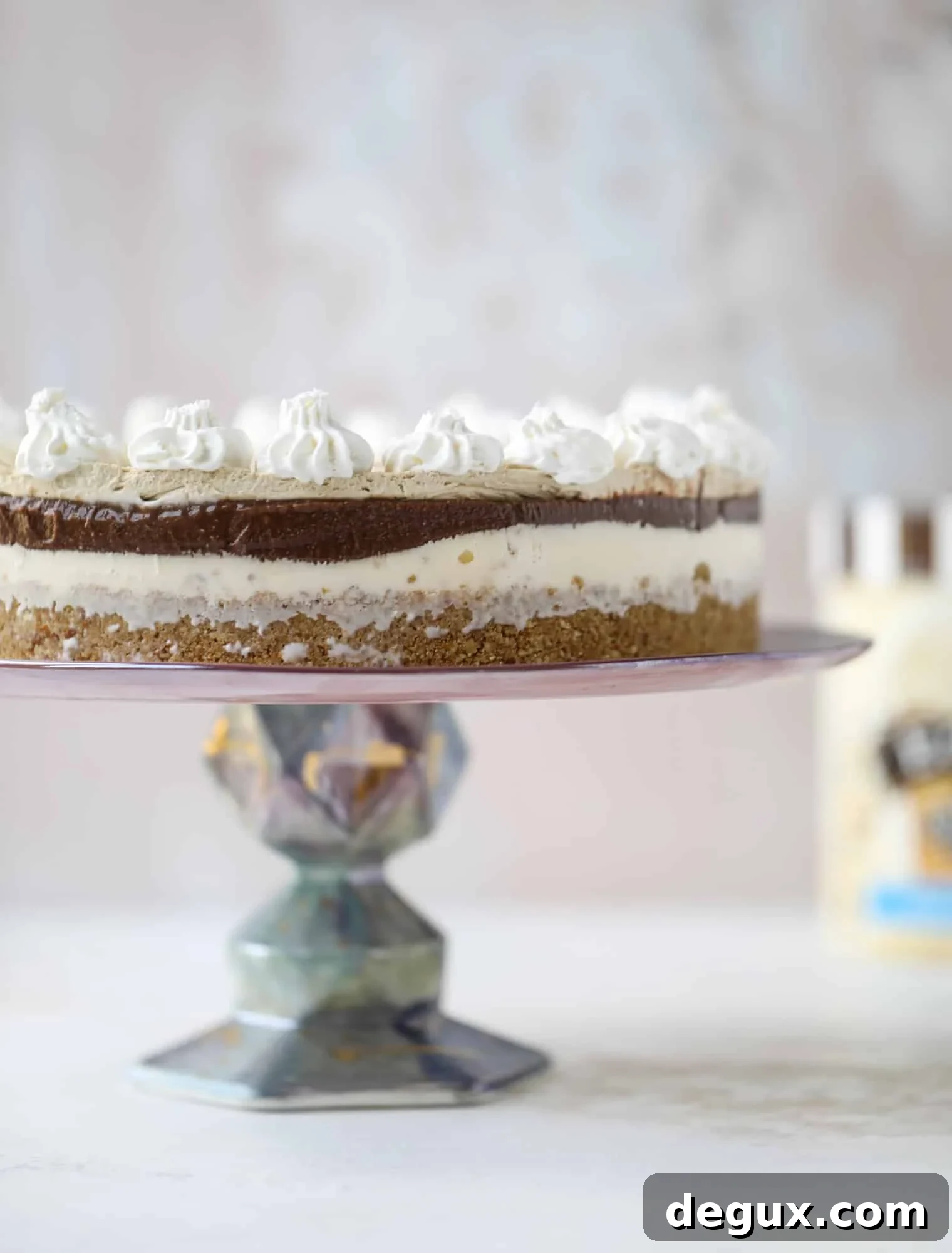 Peanut Butter Fudge Ice Cream Cake Recipe — Creamy Layered Dessert 6 Ice cream cake slice with peanut butter whipped cream
