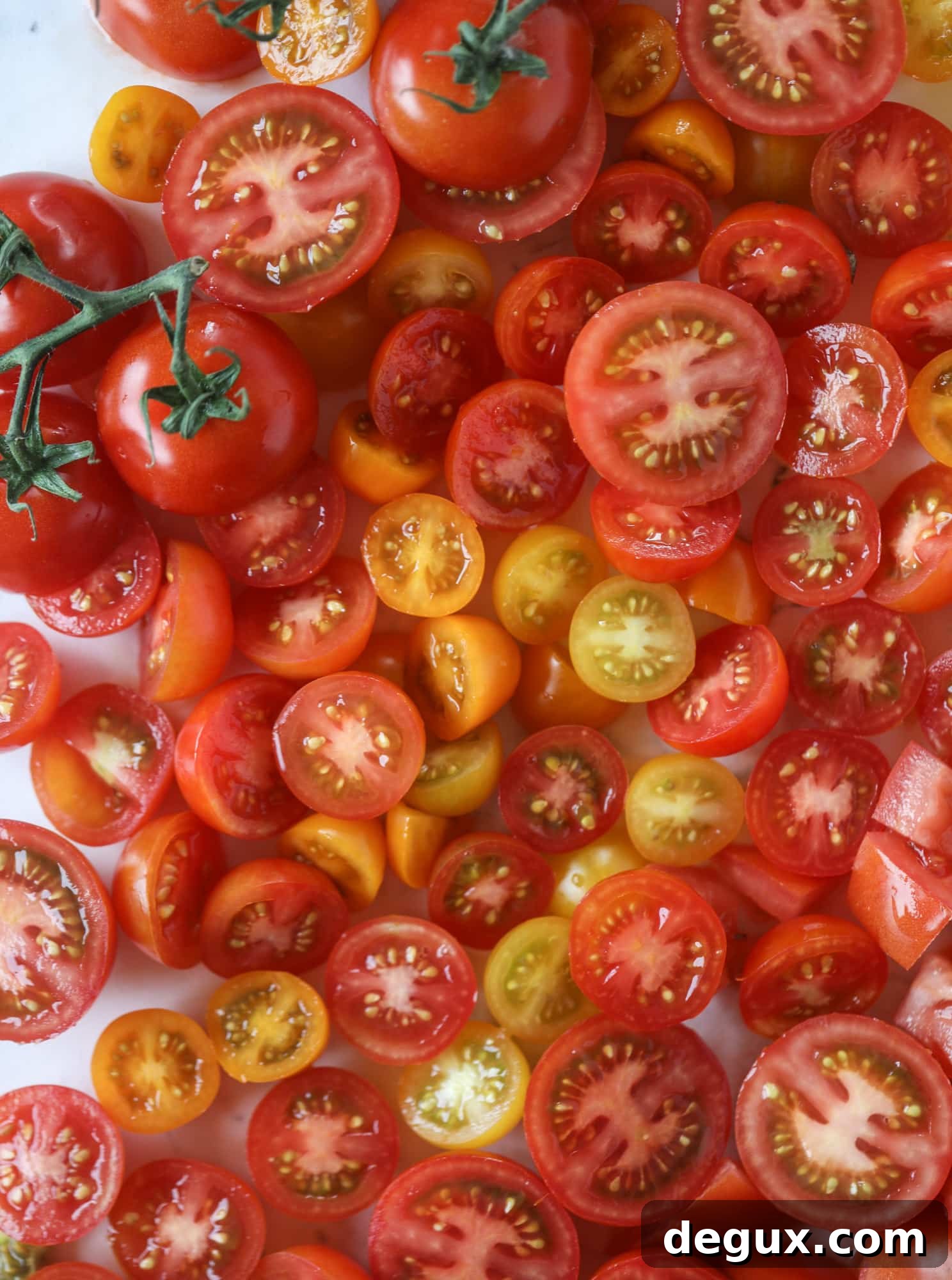 This is the perfect tomato panzanella salad! It's full of juicy, bursting, sweet tomatoes, toasted sourdough bread cubes, fresh herbs, grilled corn, sliced avocado and an incredible homemade dressing that blankets everything in deliciousness.
