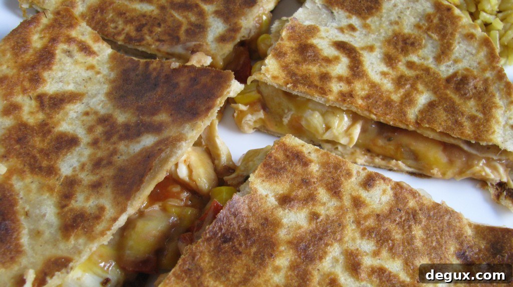 Quesadilla cross-section